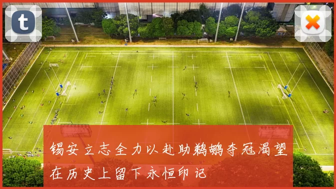 锡安立志全力以赴助鹈鹕夺冠渴望在历史上留下永恒印记